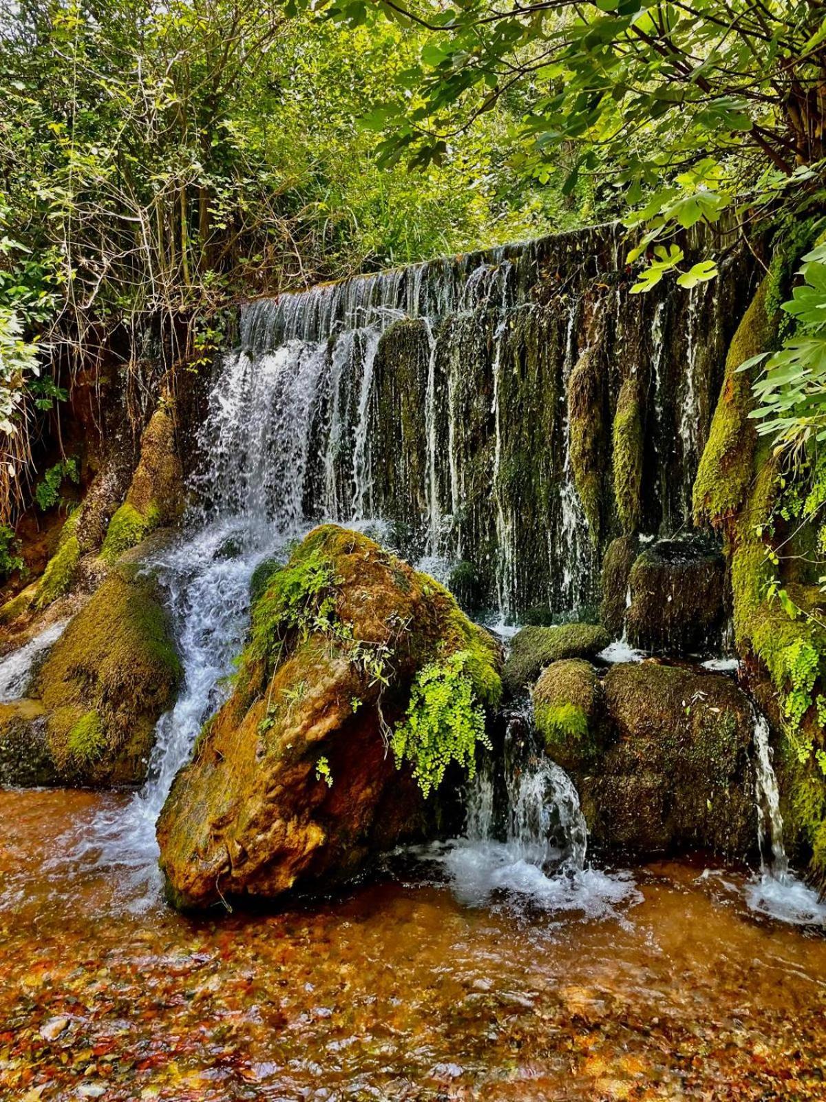 מלון Bédarieux Moulin Gaillard מראה חיצוני תמונה