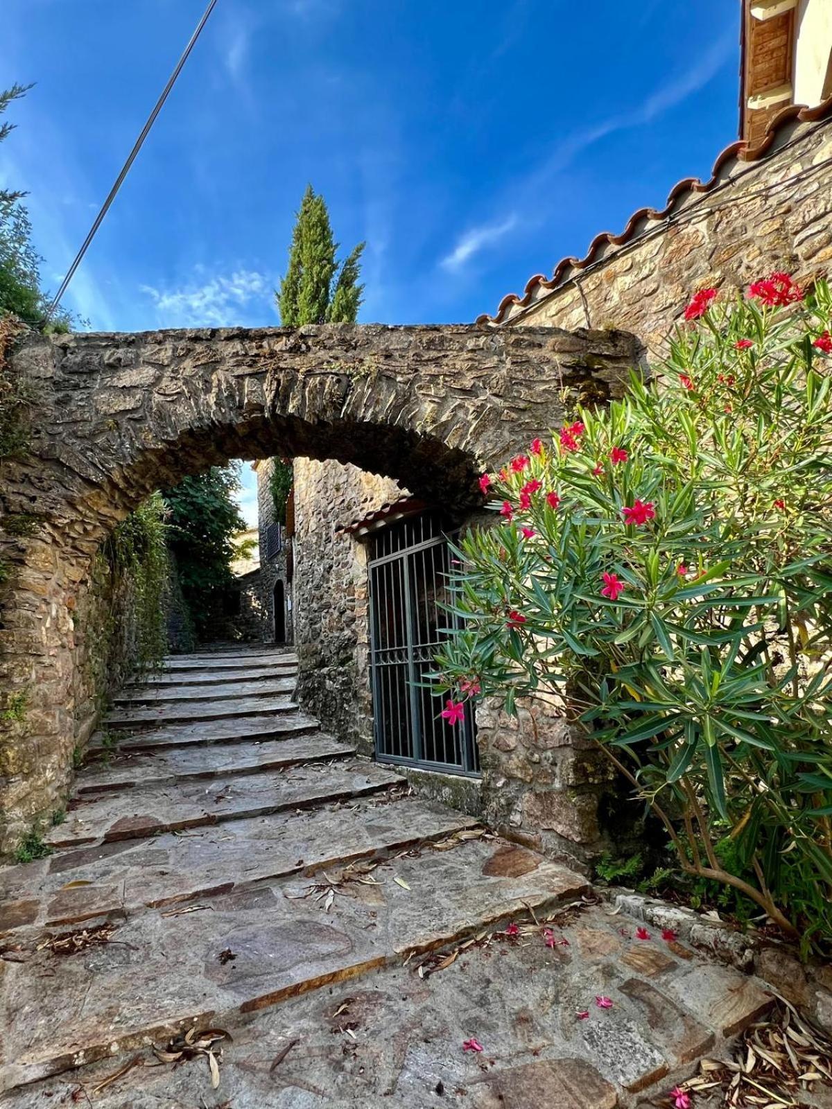 מלון Bédarieux Moulin Gaillard מראה חיצוני תמונה