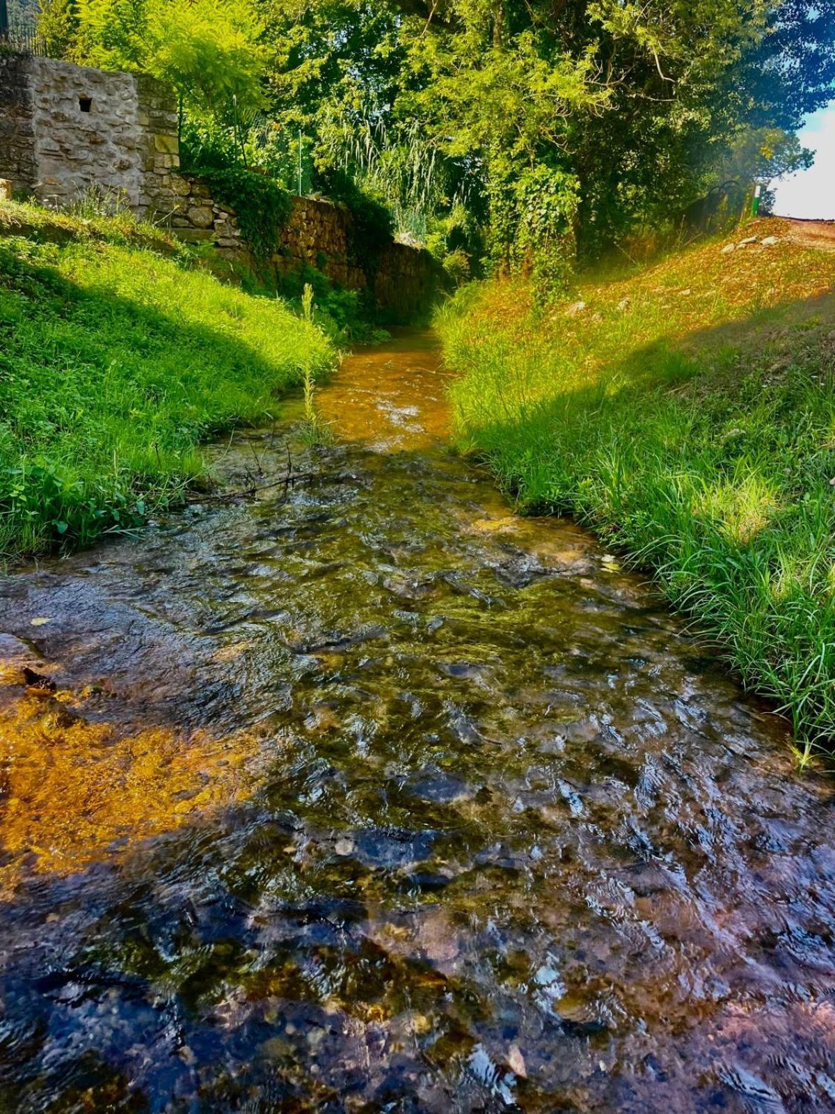 מלון Bédarieux Moulin Gaillard מראה חיצוני תמונה